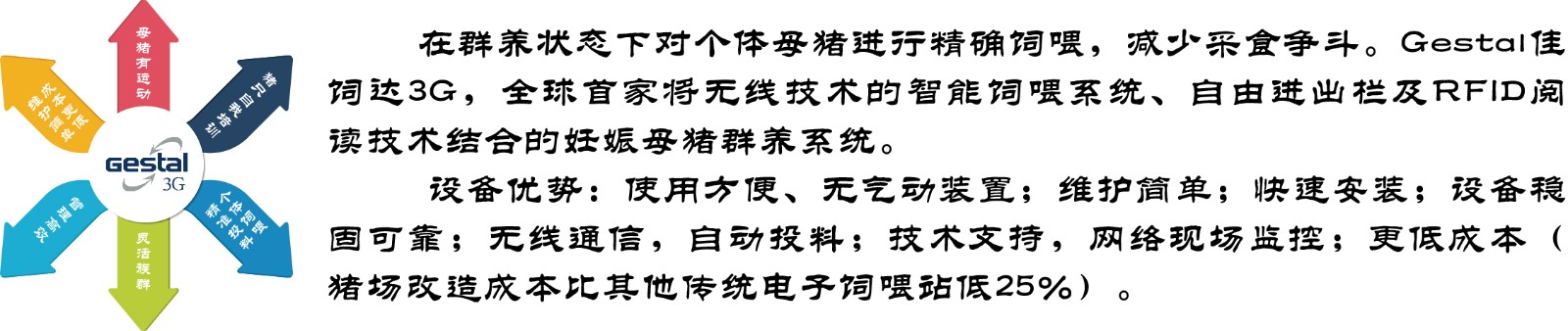 wenzi.jpg
